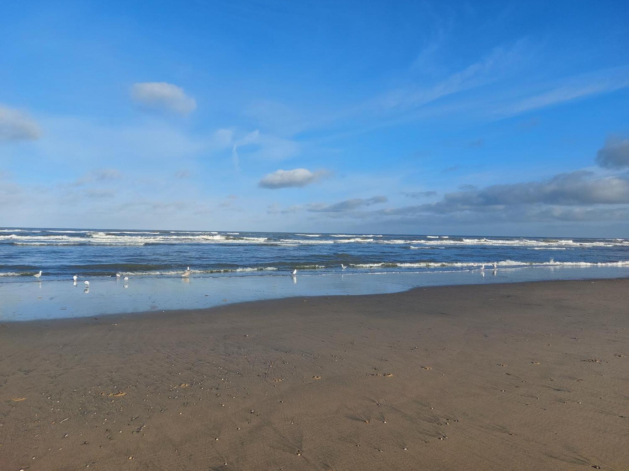 Rembrandts Beach View Zandvoort Pokój zdjęcie